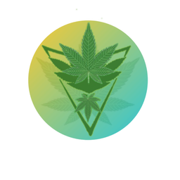 guysofcannabis avatar