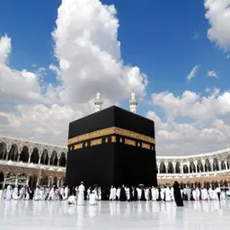 Nice Pic