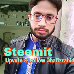 Hafiz Zahid Hussain  avatar