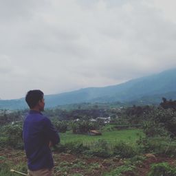 HalUnik avatar