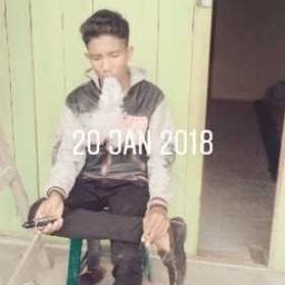 ham9 avatar