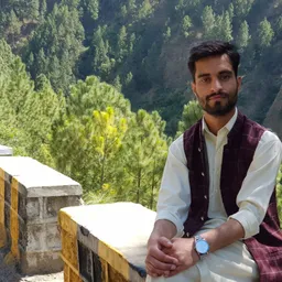 Hamza avatar
