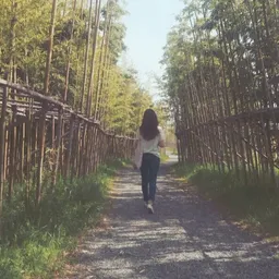 hanlee avatar