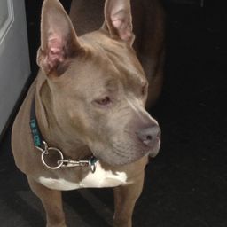 harvey53 avatar