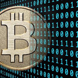 CryptoWhistle avatar