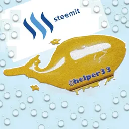 helper33 avatar