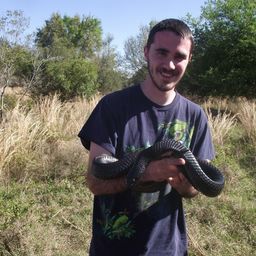 herpetologyguy avatar