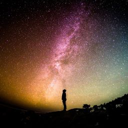higgs avatar