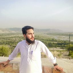 Hamza butt