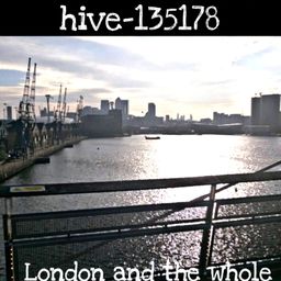 hive-135178 avatar