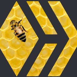 Bee Hive Community avatar
