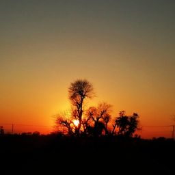 Photography avatar