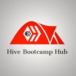 Hive Bootcamp Hub avatar