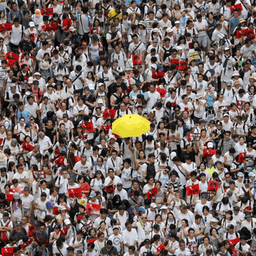Hong Kong Ocean Parker 香港人移民