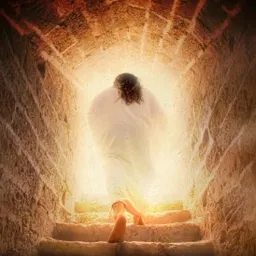 holychrist avatar