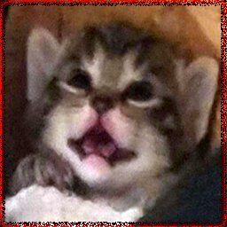 Horstman5 avatar