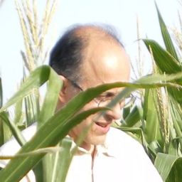 Hubeyma avatar