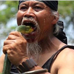 humanpotrat avatar