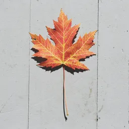 iamleaf avatar