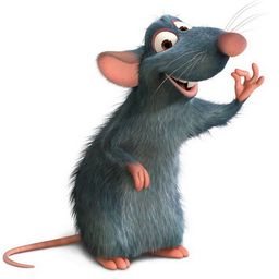 IBRASTEEM avatar