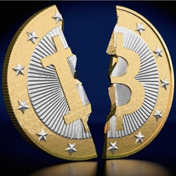ICOREPORT avatar