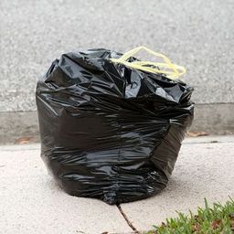 I Flag Trash avatar