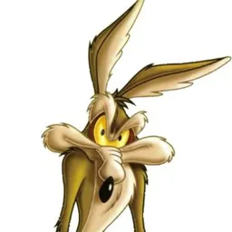 Little Coyote  avatar