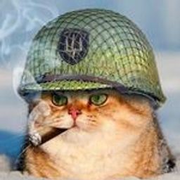 imawesome1260 avatar