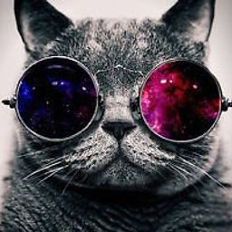 ImCoRe avatar