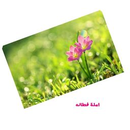 imla-iim avatar