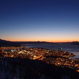 imperialspring avatar