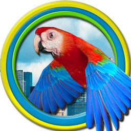 imranptk avatar
