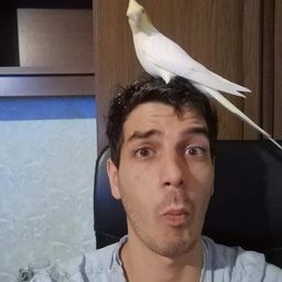 incze avatar