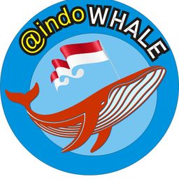indowhale avatar