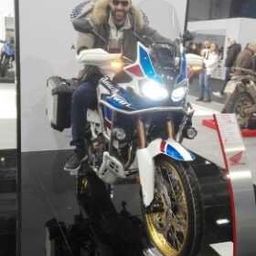Massimiliano Vitale avatar