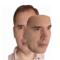 knigh+ avatar