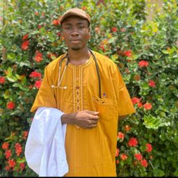 Adewole Gideon Adebayo avatar