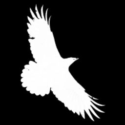 iovoccae avatar