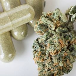 GanjFarm