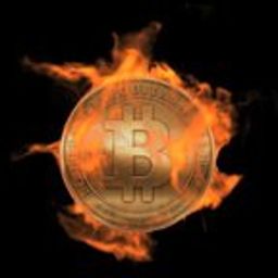 theisacoin avatar