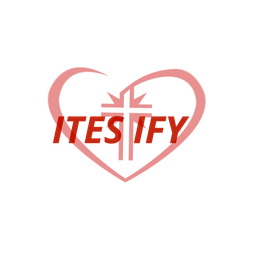 Itestify avatar