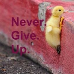 jacobsa743 avatar