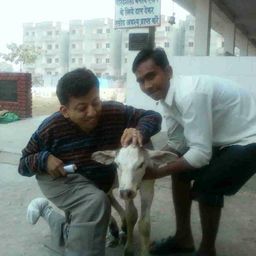 Lovely Jain avatar