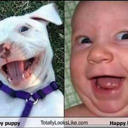 LAUGH N ENJOY LIFE avatar
