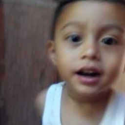 jamilvote avatar
