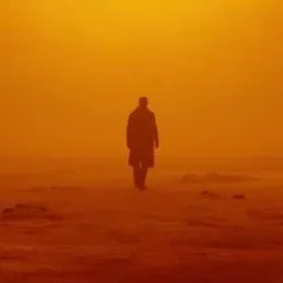 Alejandro avatar