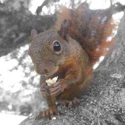 jdugarte avatar