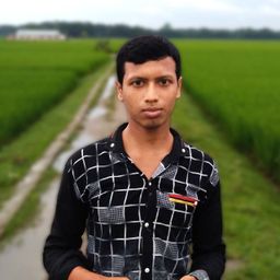 M R Jibon avatar