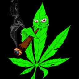 Jibson avatar