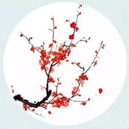 https://encrypted-tb avatar